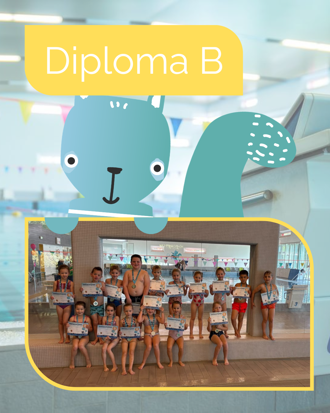 Diploma B
