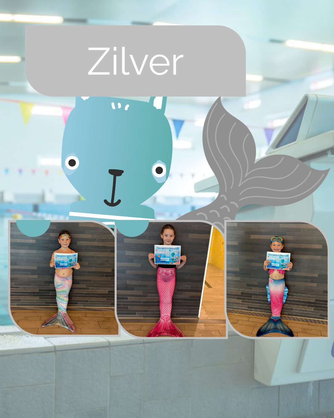 Zeemeermin Zilver