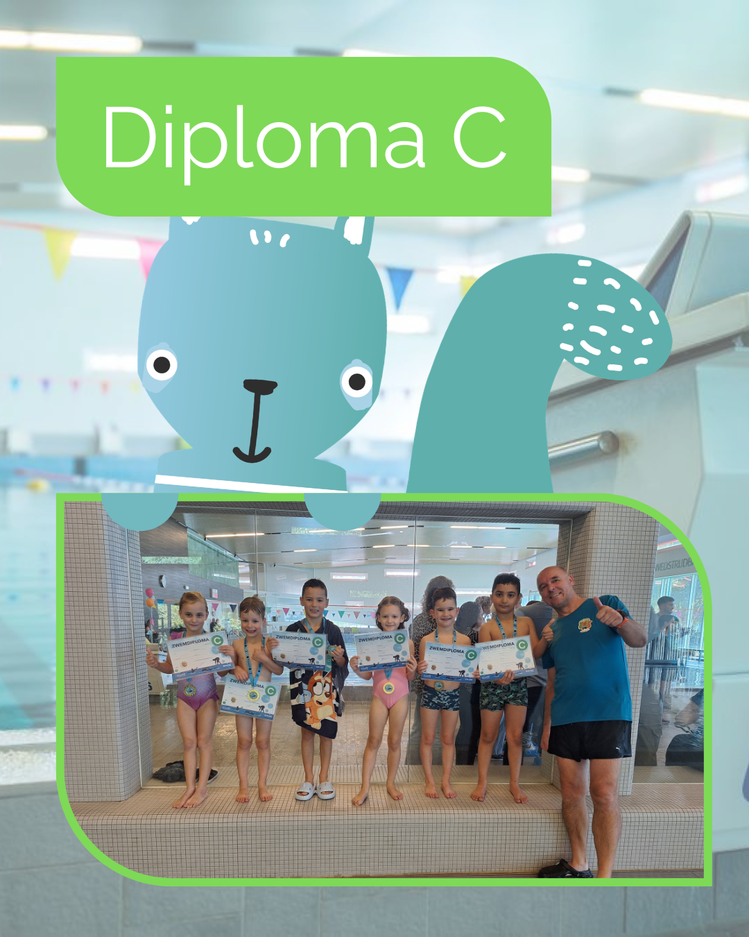 Diploma C