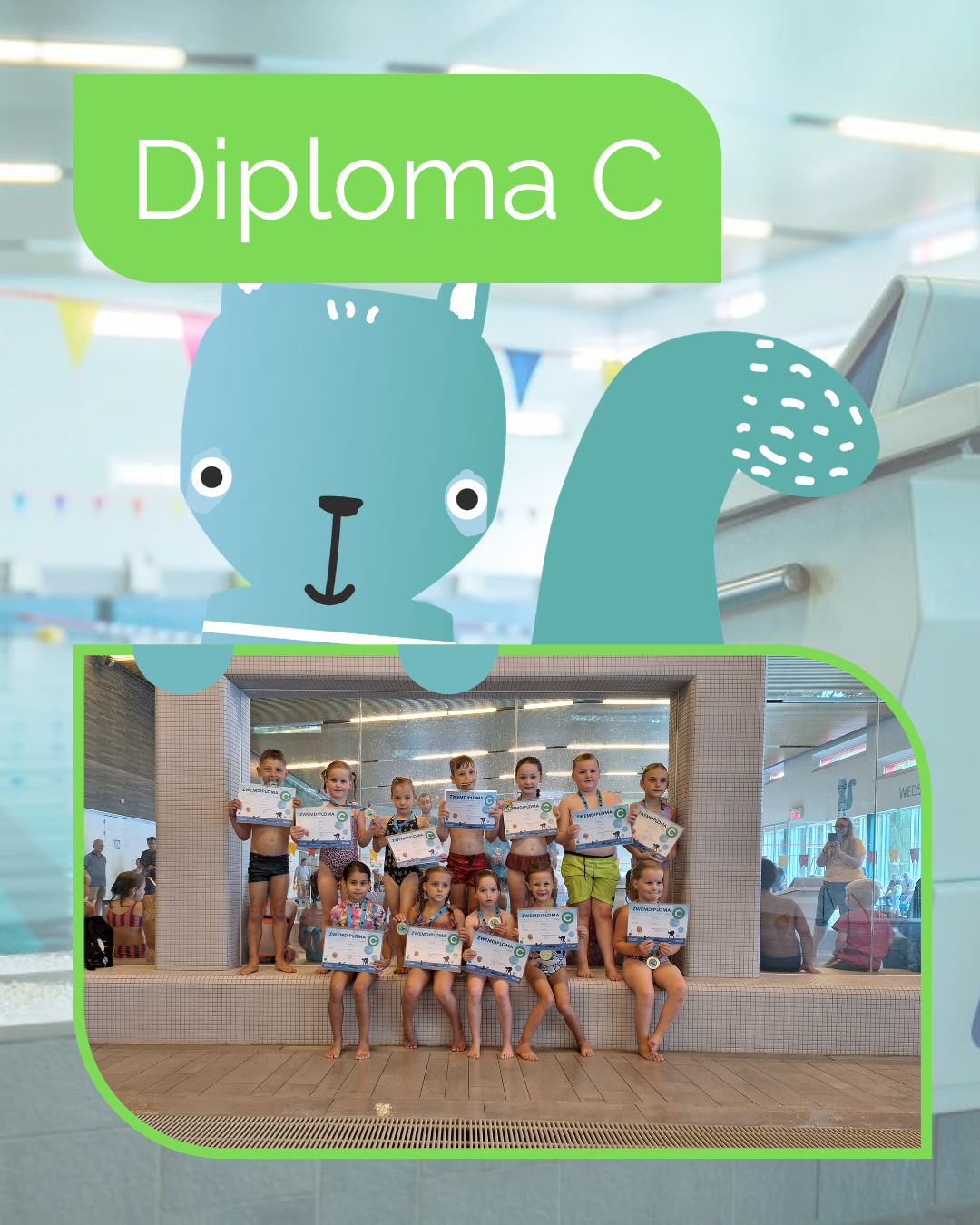 Diploma C