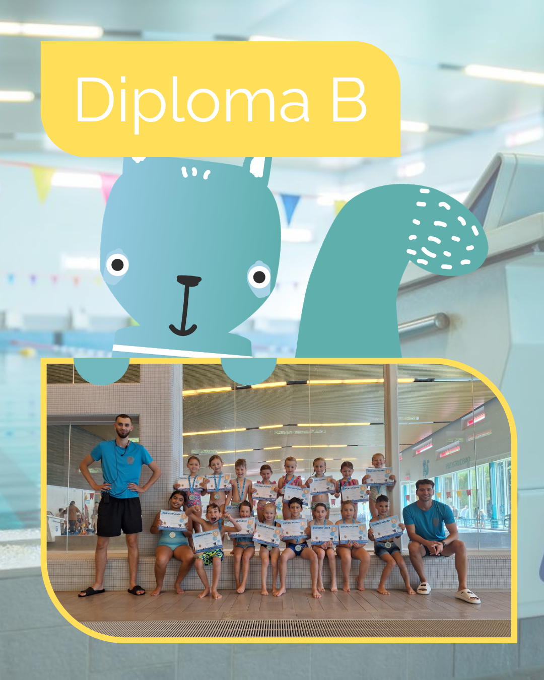 Diploma B
