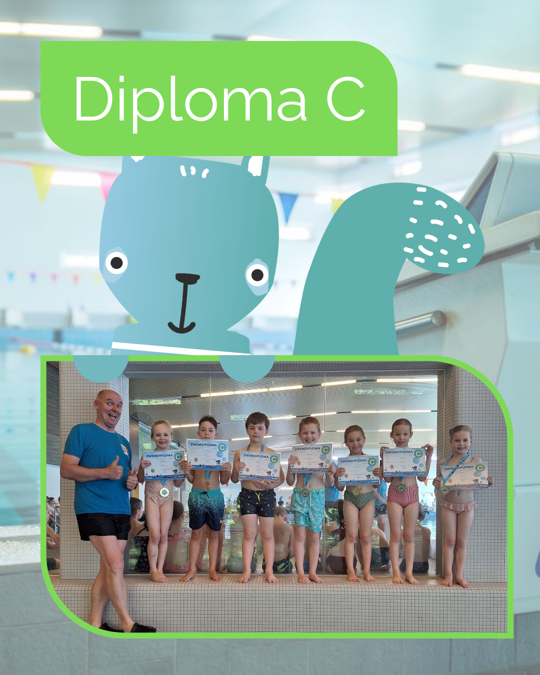 Diploma C